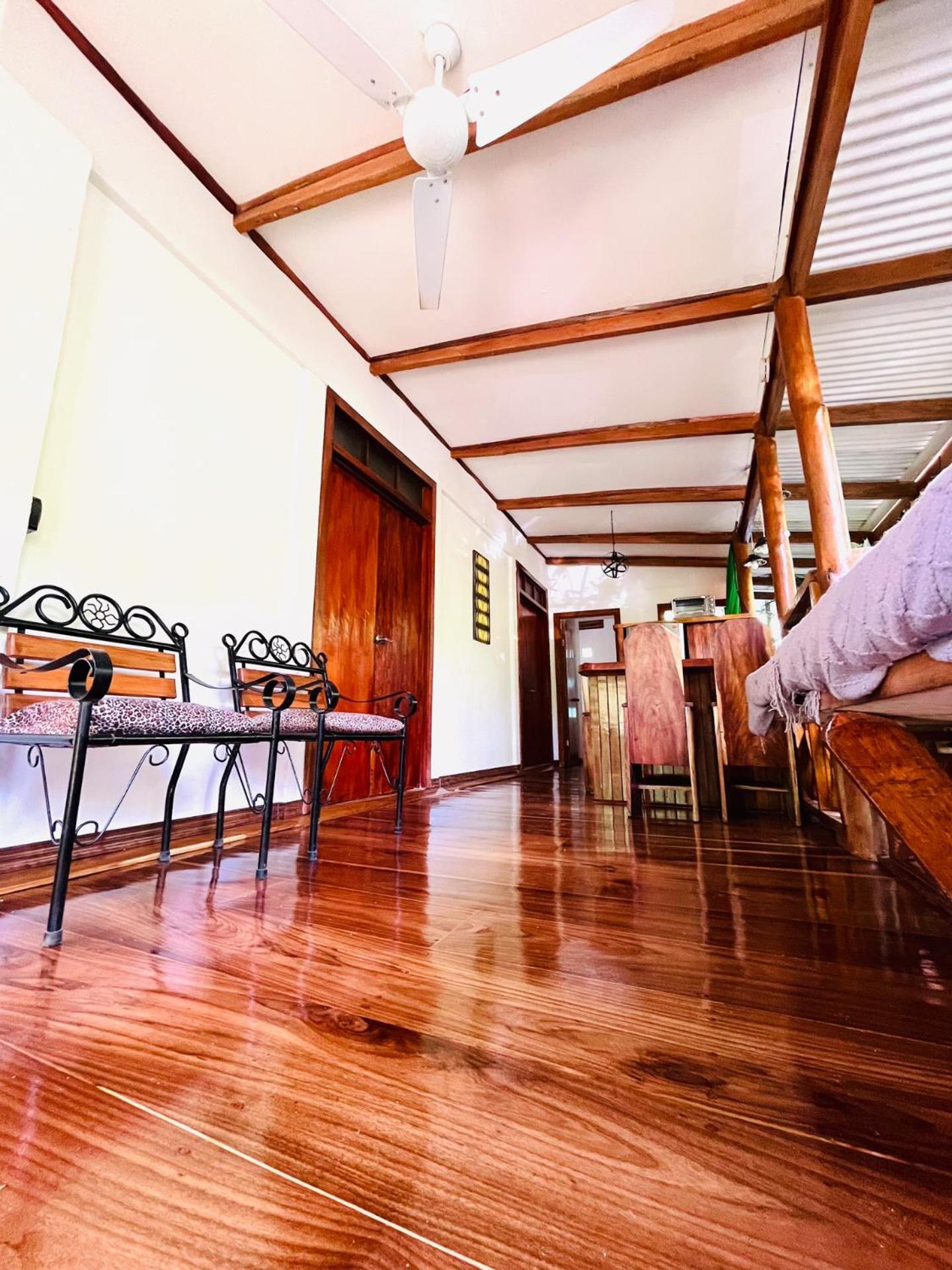 Colibri Ecolodge 3 Minutes Walk To Beach And Town Puerto Viejo de Talamanca Εξωτερικό φωτογραφία